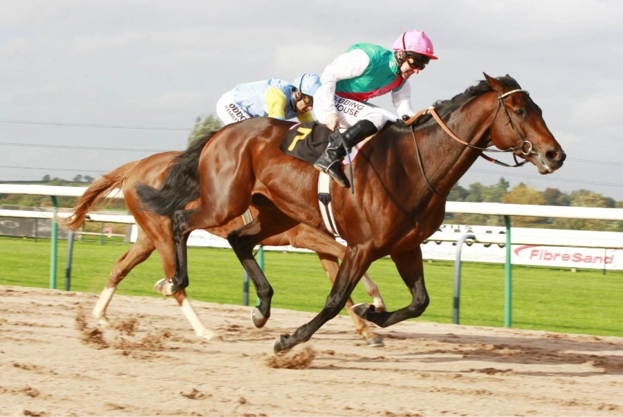 Horse Racing Mostbet